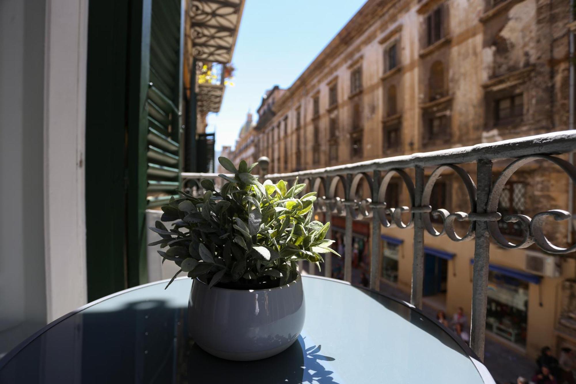 Maqueda View *